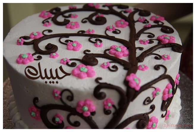 Birthday Cake Postcard