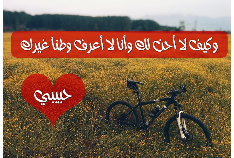 وكيف لا أحن لك وأنا لا أعرف وطناً غيرك Postcard