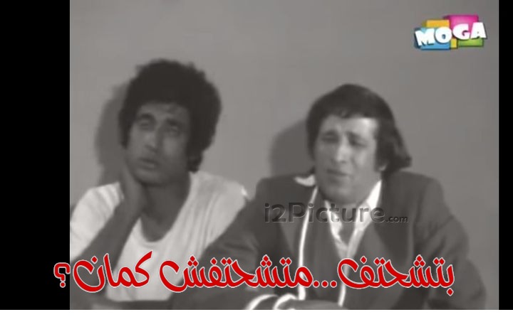  قفشات الأفلام - بتشحتف...متشحتفش كمان؟