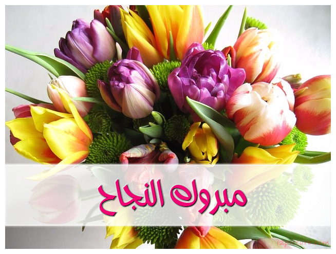 Write Greetings On Flowers Postcard
