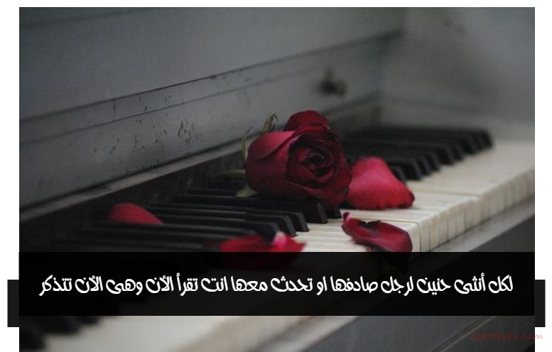  حكم و خواطر - لكل أنثى حنين لرجل صادفها او تحدث معها انت تقرأ الأن وهى الأن تتذكر