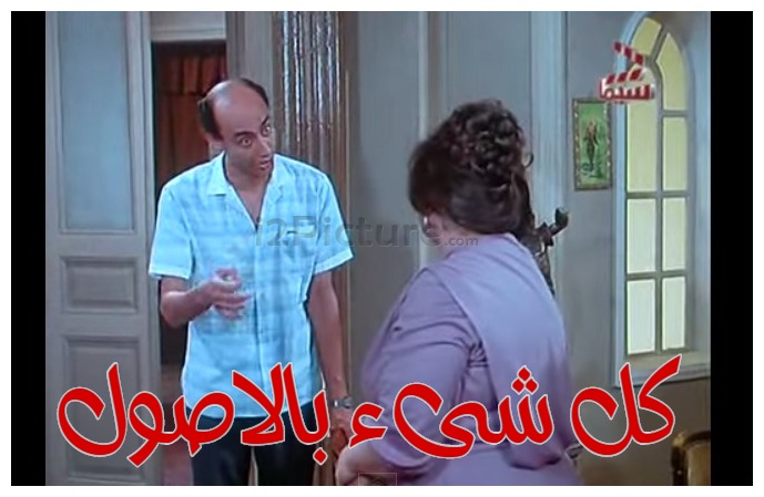  قفشات الأفلام - كل شىء بالاصول