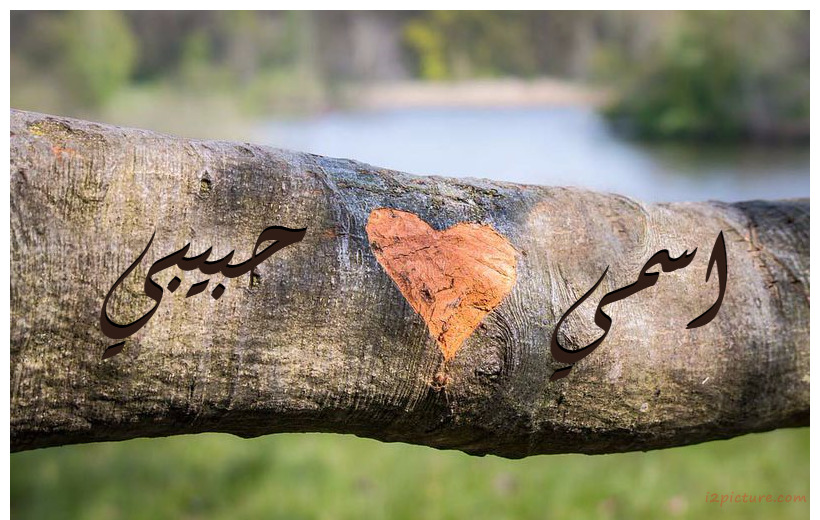 Your Name And Your Lover At The Heart Of The Wood Is Carved On A Branch Postcard