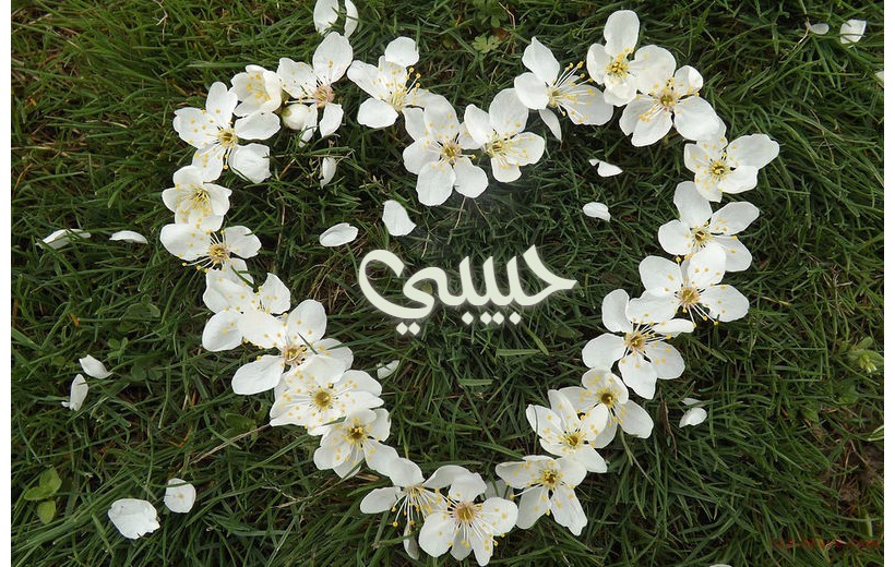 Your Name And Your Lover At The Heart Of White Flowers Postcard