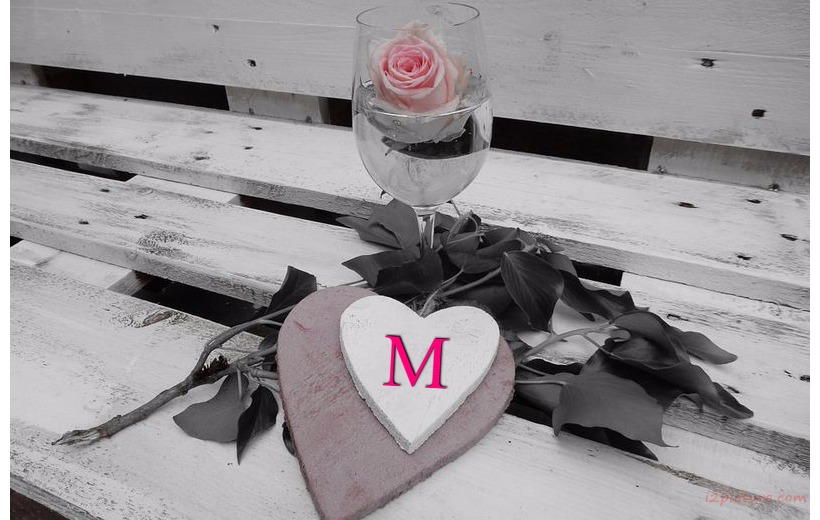 Your Lover's Name On The Heart Of The Wood Postcard