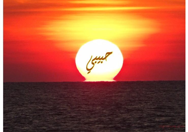 Type Your Name In The Rising Sun Postcard