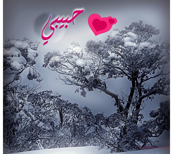 Your Name On The Gray Image In The Winter Postcard