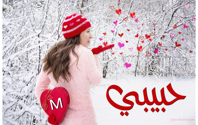 Your Name And Your Lover On A Girl Sitting In The Ice Postcard