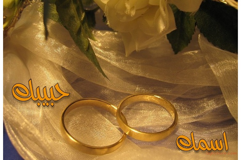 Wedding Rings Postcard