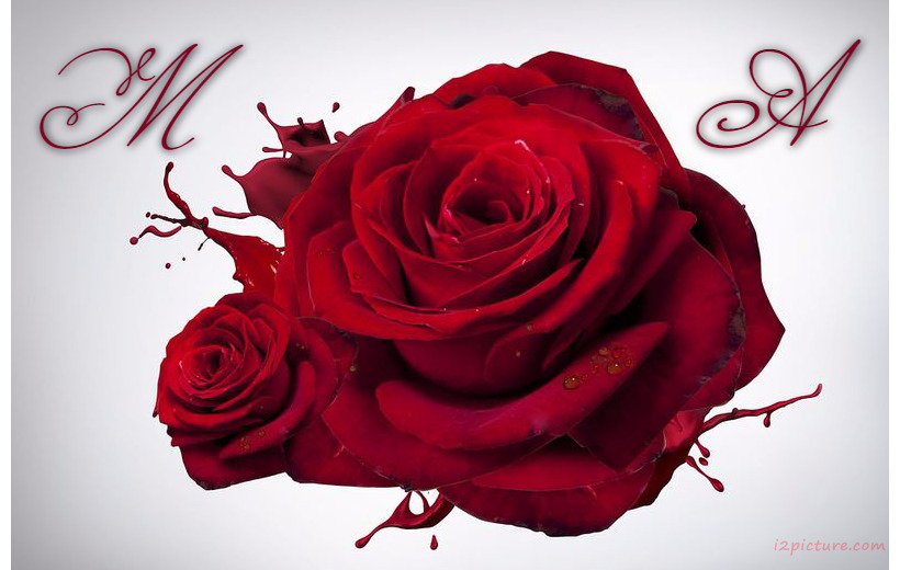 Your Lover's Name On The Red Flowers With Colors Postcard