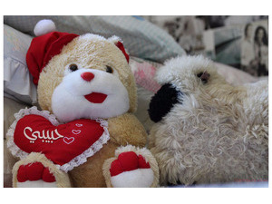 Your name on the heart and bear doll 000