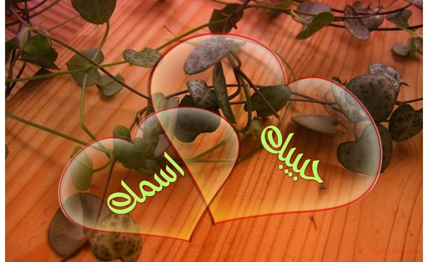 Hearts With Flowers In The Background Postcard