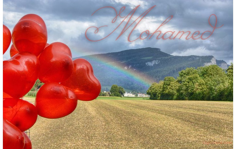Type Your Lover's Name On The Rainbow And Red Balloons Postcard