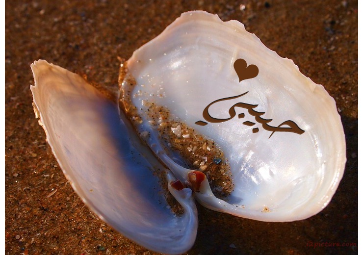 Your Lover's Name Inside The Snail Postcard