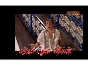 شغاله علي حجاره