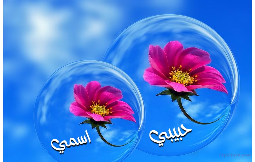 Write Your Name And Your Son On The Flowers In The Bubbles Postcard