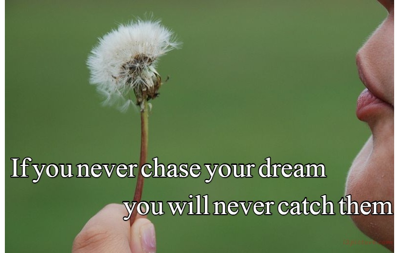  حكم و خواطر - If You Never Chase Your Dream You Will Never Catch Them