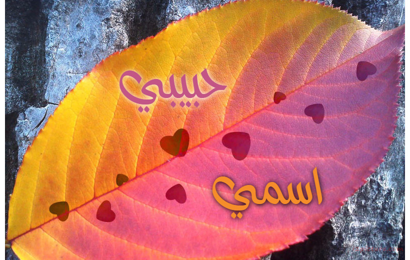 Your Name And Your Lover's Hearts And Paper Tree Postcard