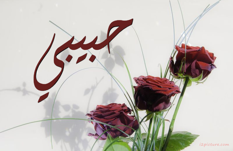 Your Name On Colored Flowers Postcard