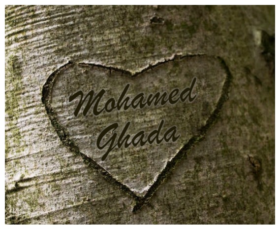 Inscribed Heart On Tree Postcard