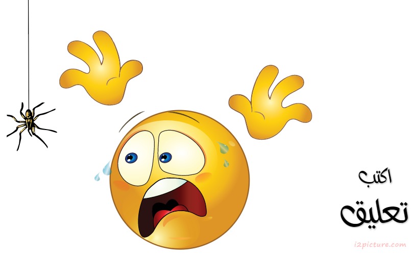 Smiley Face Boy Bug Postcard