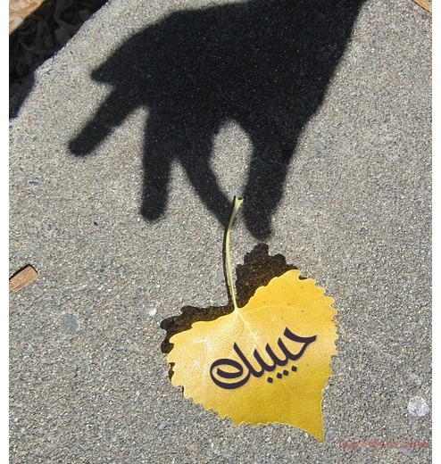 Your Lover's Name On A Leaf Postcard