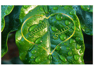 Type your lover's name on a leaf with dew drops 