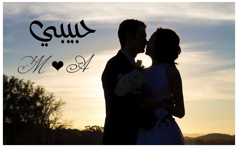 edit picture />
                     <form style=