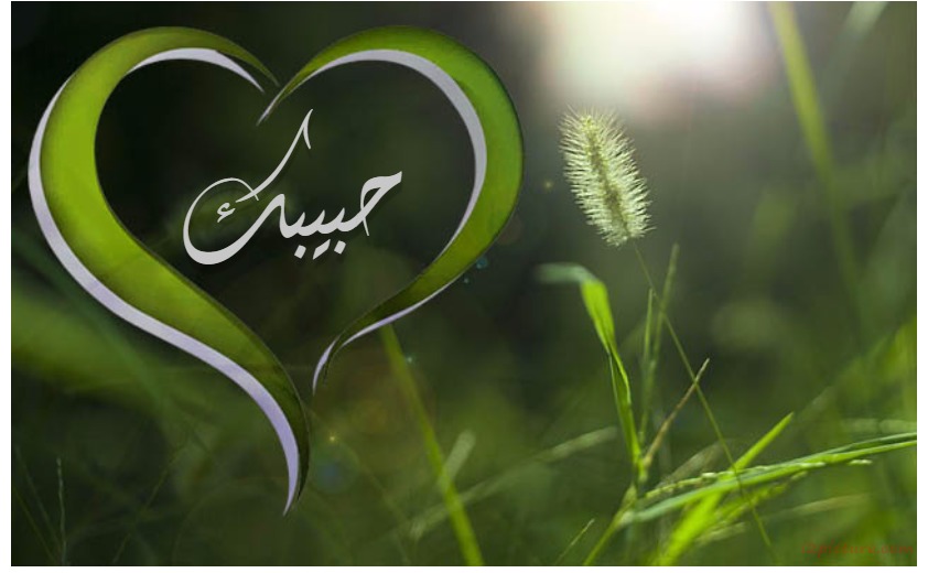 Your Lover's Name On A Green Flowers Postcard