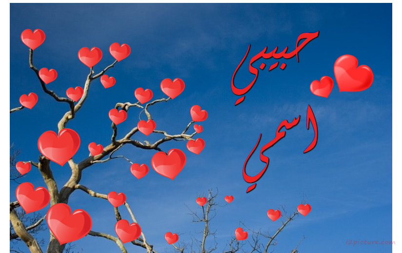 Tree Of Hearts With Blue Background Postcard