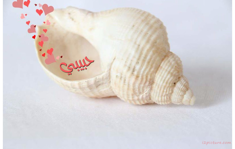 Your Name And Your Lover On A Snail White Postcard