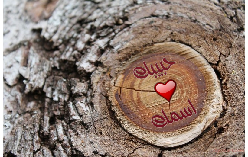 A Tree Trunk Postcard