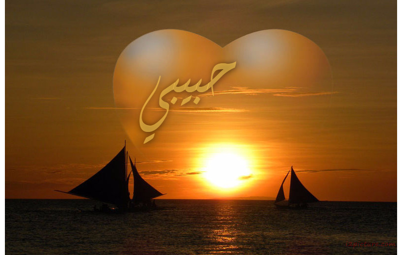 Type The Your Lover At Heart At The Time Of The Sunset With The Boat Sails Postcard
