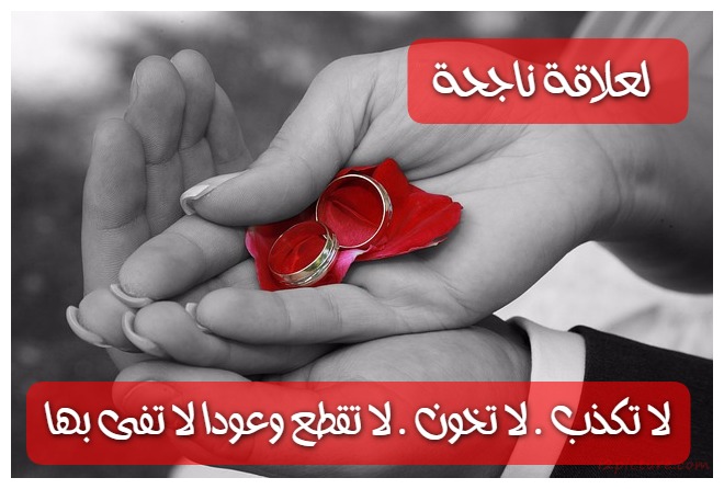 العلاقة الناجحة Postcard