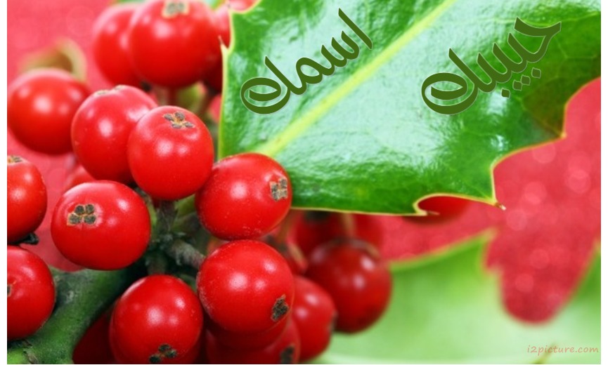 Name Your Lover's Name On The Leaf Postcard