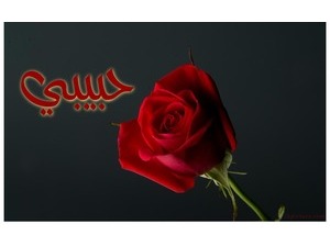 Name your lover next to a red flower