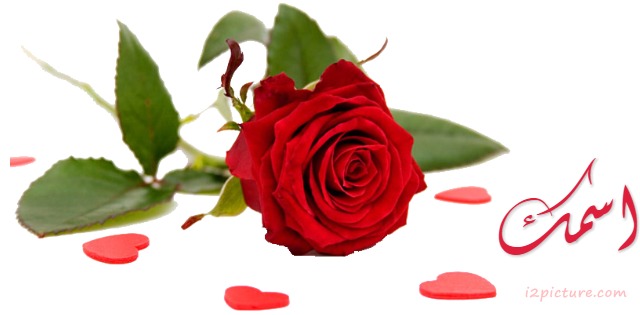Romantic Flower Facebook Cover