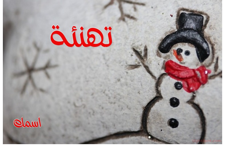 Iceman On Greeting Card Postcard