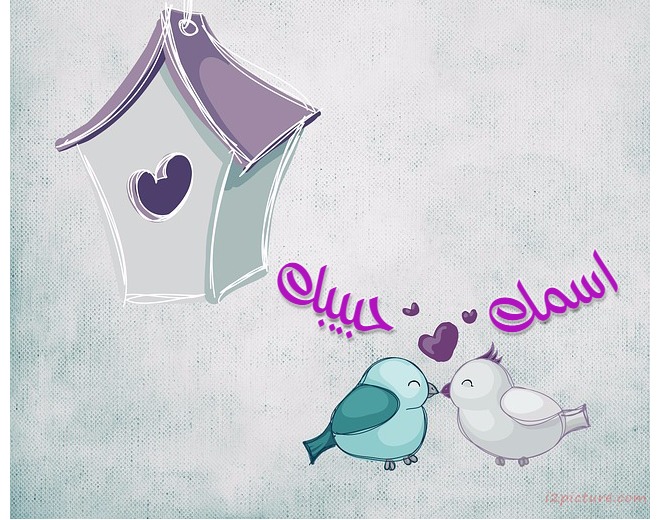 Your Name And Your Lover On The Cage Birds Postcard