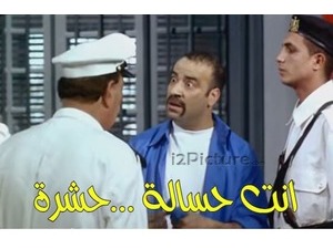 انت حسالة ...حشرة