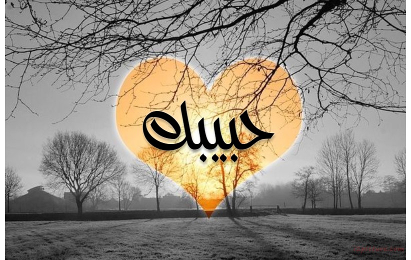 Heart On The Background Of Gray Postcard