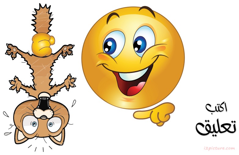 Smiley Face Boy  Amsk El Bsaa Postcard