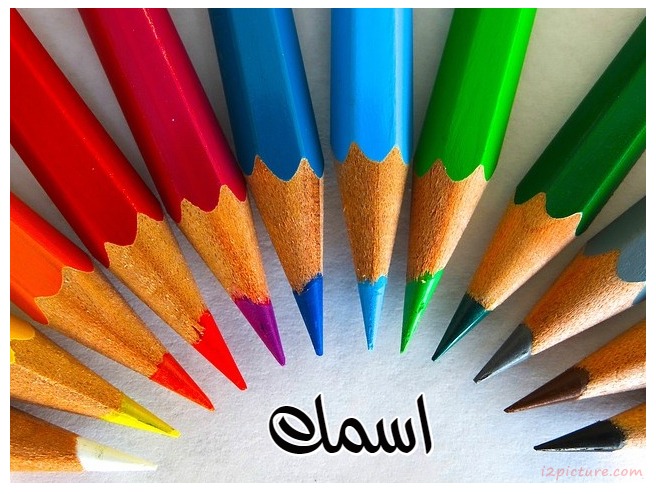 Colorful Wooden Pens Postcard