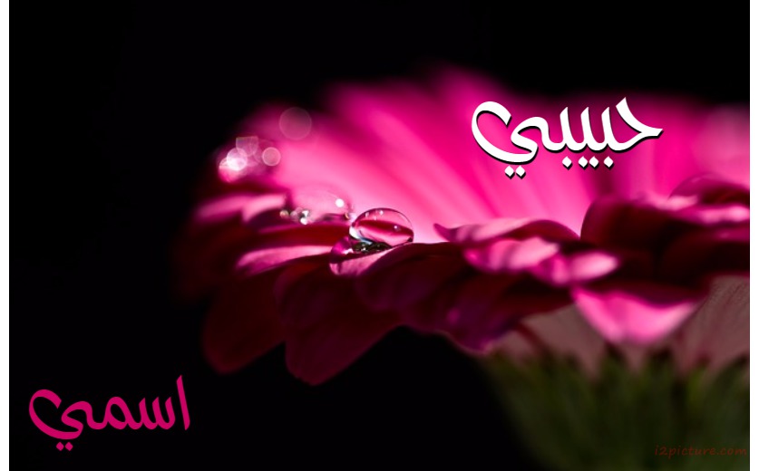 Your Name On The Pink Flower And Black Background Postcard