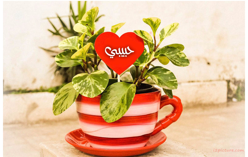 Your Name And Your Lover At The Heart Of The Plant 888 Postcard