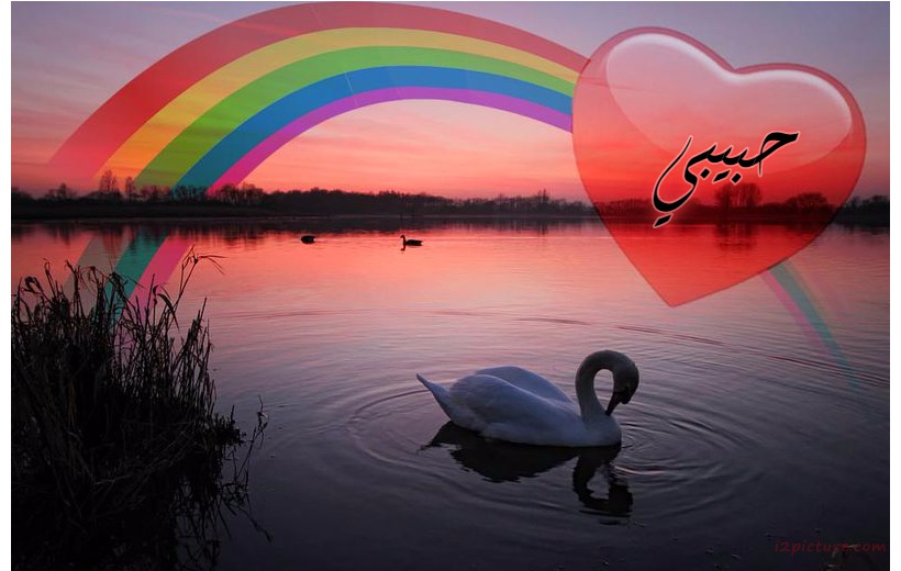 Your Lover's Name On The Heart And A Rainbow In The Lake Postcard