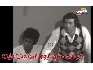 خبر اسود علي اليوم اللي مش فايت