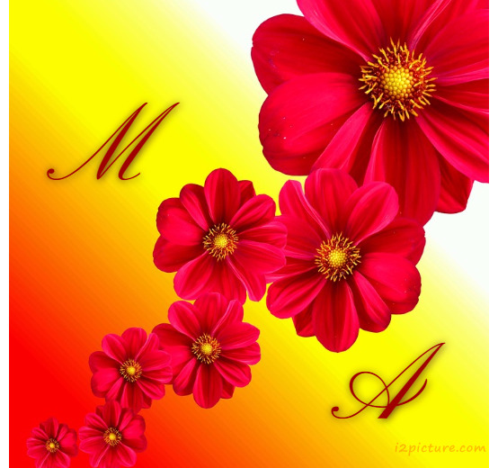 Type Your Lover's Name On The Red Roses And Yellow Background Postcard