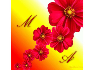 Type your lover's name on the red roses and yellow background