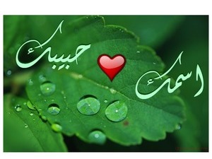 love leaf